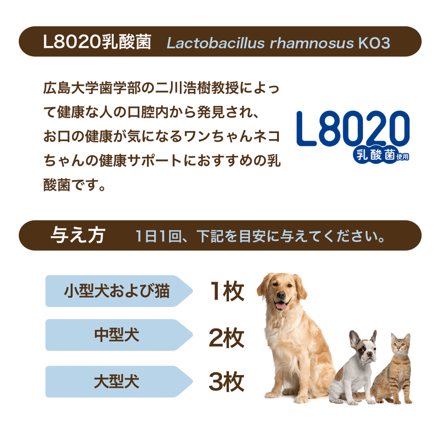 フィルプラス+L8020 30枚入り
