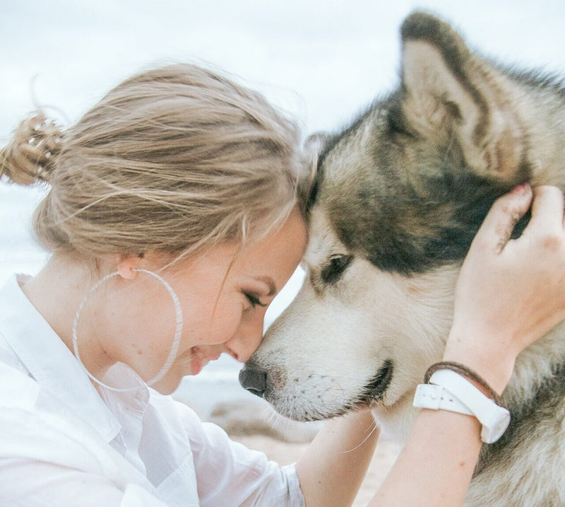 【獣医師執筆】動物愛護と「動物福祉」の違いとは？One Welfareの概念から考えるペットの幸せ