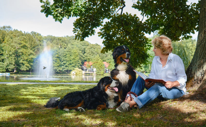 【獣医師執筆】ペットロスを癒す「虹の橋」の詩～愛する伴侶動物とのお別れと再会～