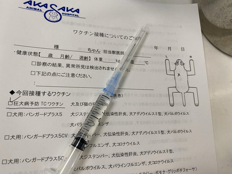 人と動物の絆を護る「狂犬病ワクチン」～なぜ毎年の接種が義務なのか～