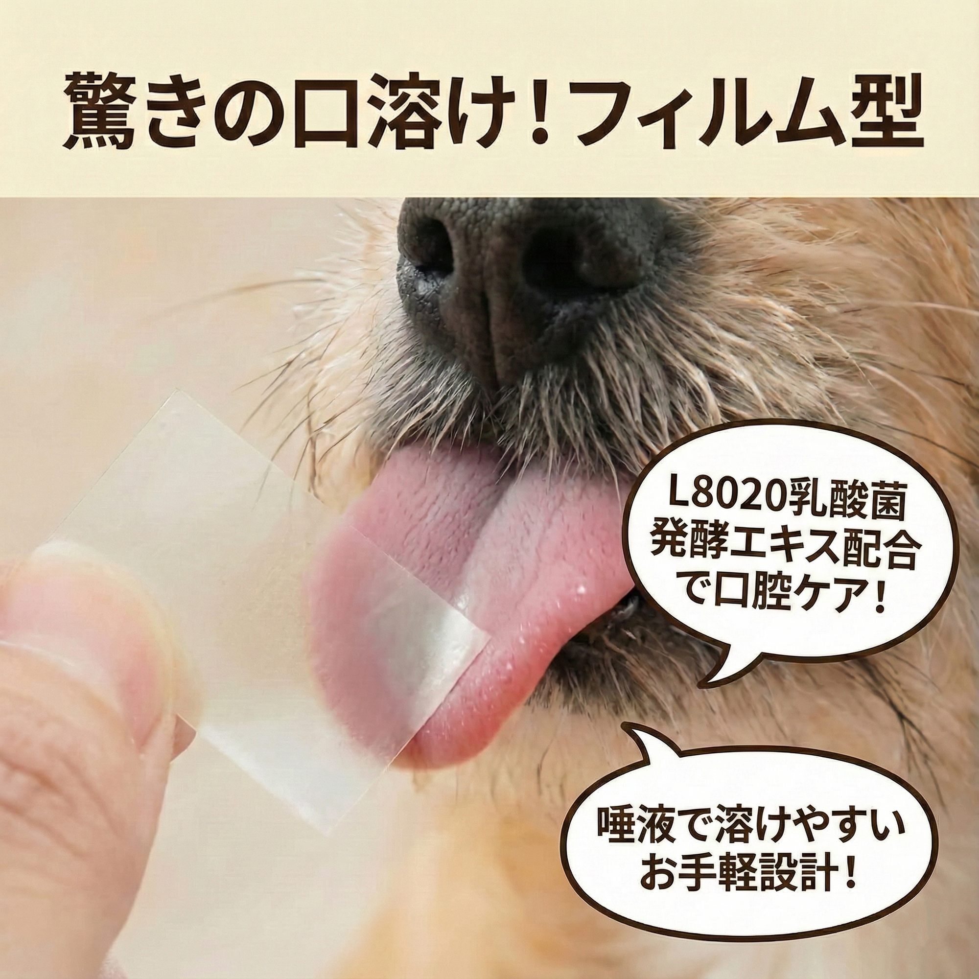 【犬猫用サプリメント】フィルプラス+L8020