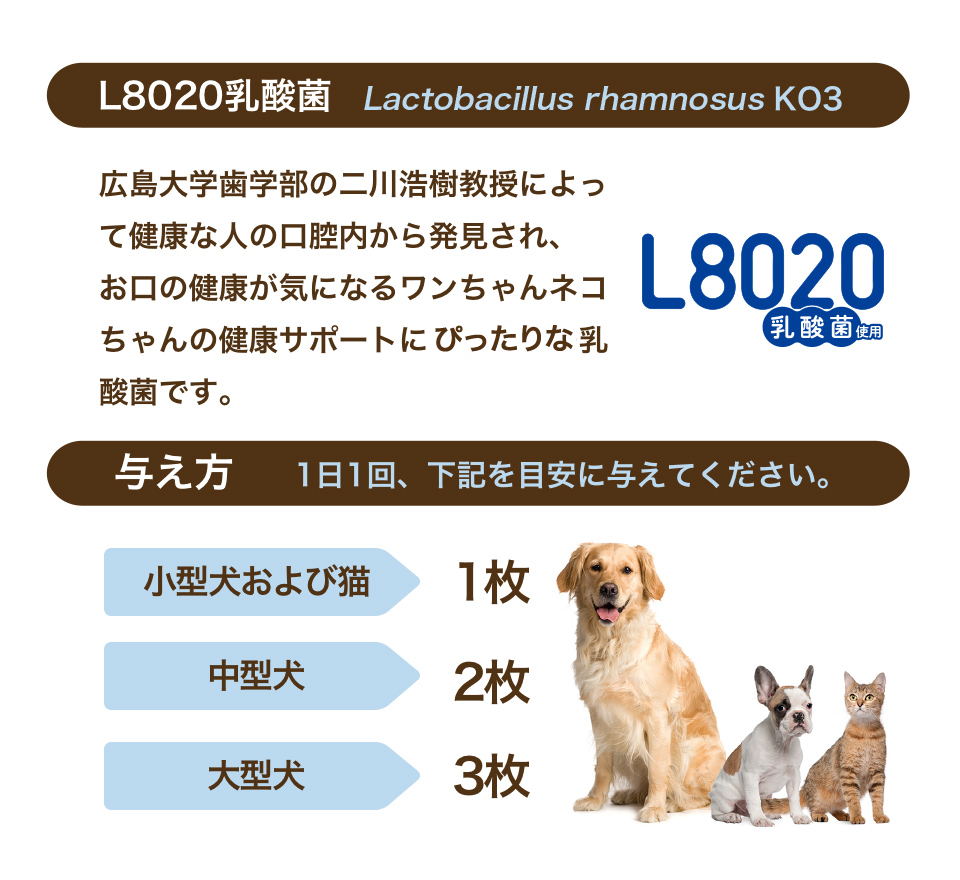 フィルプラス+L8020  30枚入り